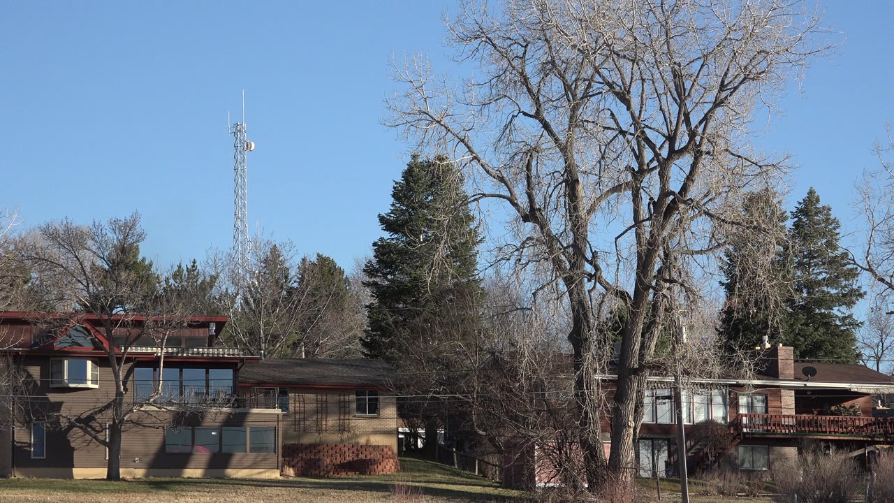 Tan homes behind leafless trees under a clear blue sky.
