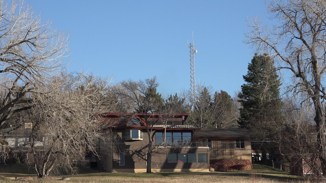 Modern low building behind leafless trees and dry grass