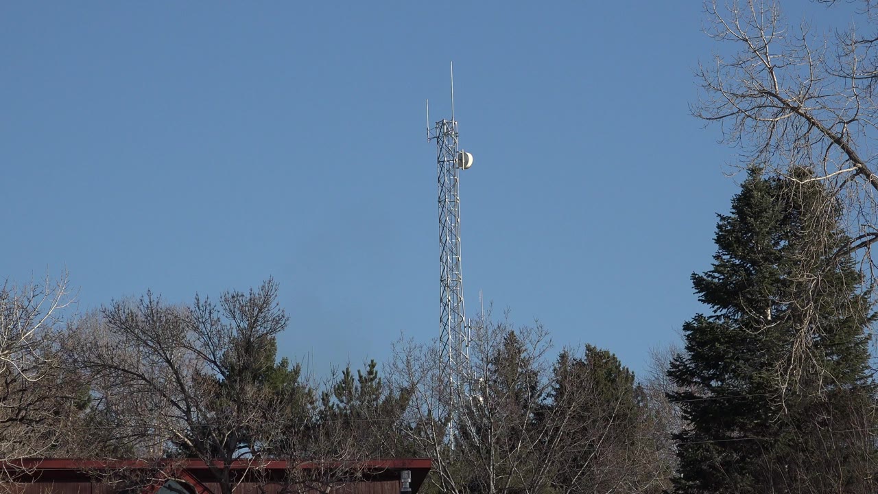 A tall lattice tower rises above leafless trees, evergreen branches, and a low suburban roofline in Arvada, Colorado, with no visible people.