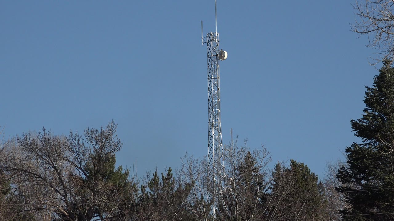 Metal tower rising above trees under blue sky