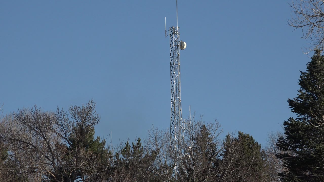 The tower remains centered above mixed bare and evergreen trees in Arvada, Colorado, with the sky filling most of the frame and no visible people.