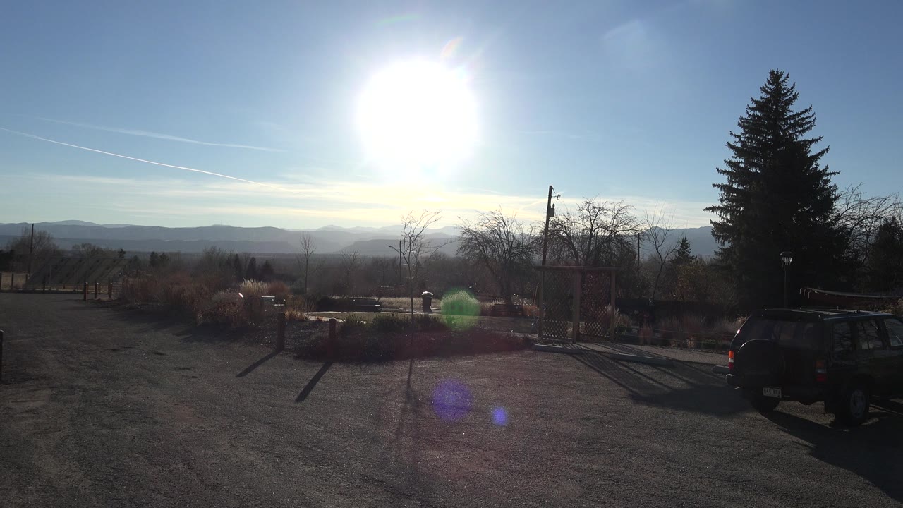 Bright noonday sun hangs over an Arvada, Colorado driveway with a tall evergreen, bare trees, distant hills, lens flare, and no visible people.