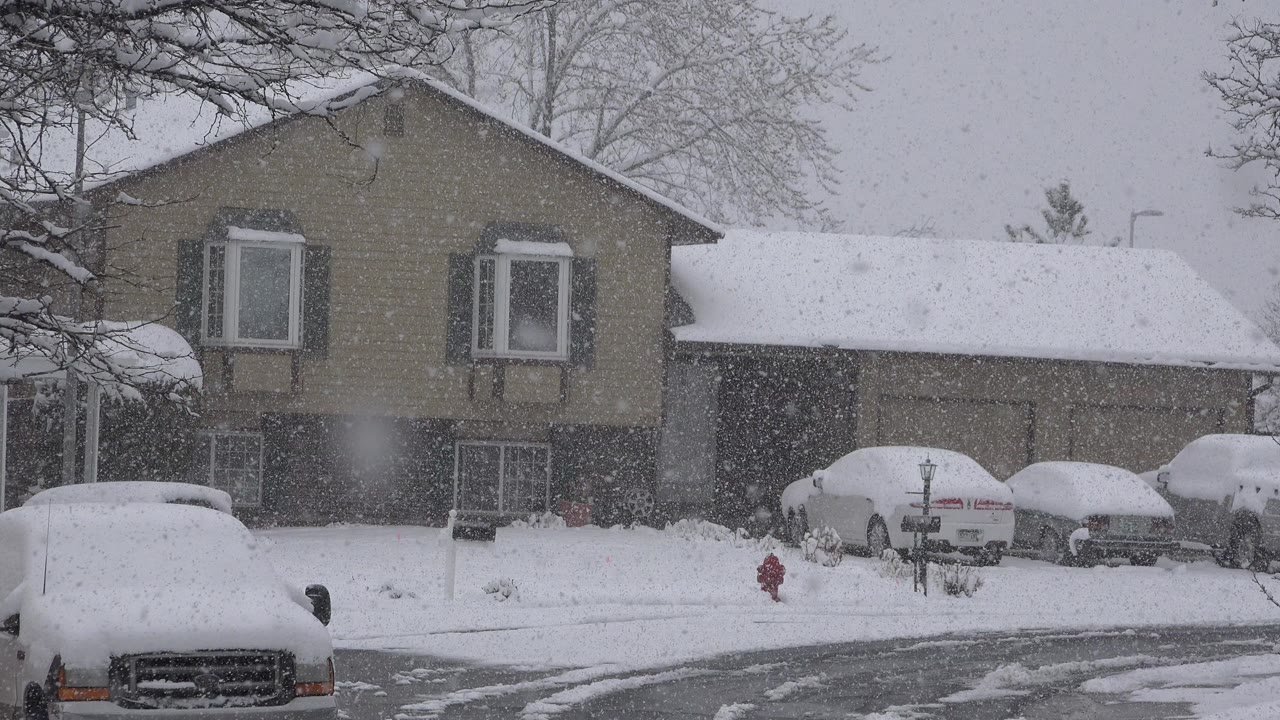 Westminster, Colorado suburban house with a snow-covered roof, buried driveway vehicles, bare trees, and heavy falling snow at the start of the clip, with no visible people.