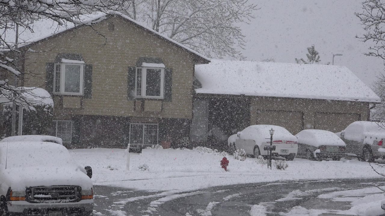 Snow falls on parked cars outside a suburban house.