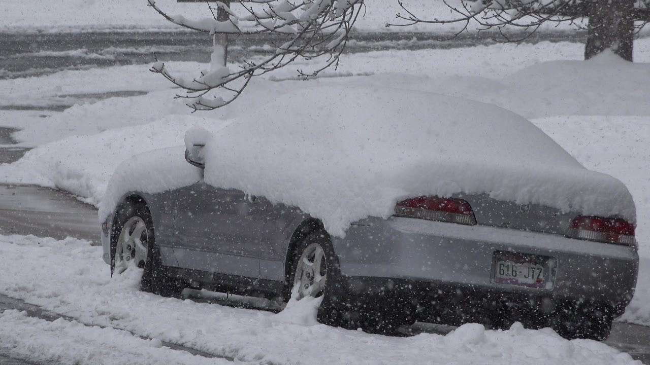 The rear of a snow-buried gray sedan remains centered in Westminster, Colorado, with falling snow visible against the car body and road, and no visible people.