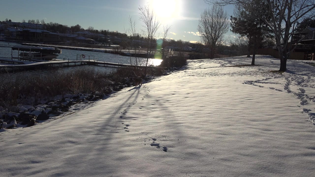 Snow-covered bank beside water in Westminster, Colorado, with bright sun glare, bare trees, dock structures, footprints in the snow, and no visible people.