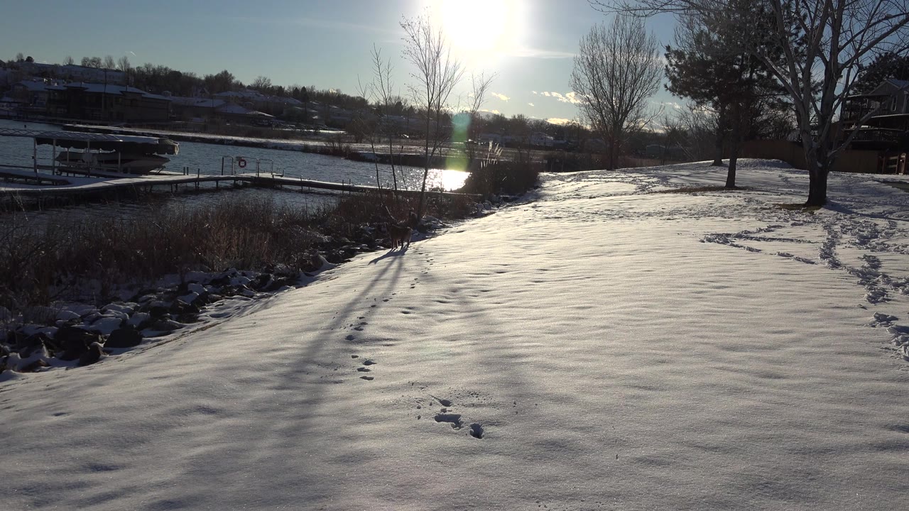 A sloped snowfield in Westminster, Colorado, leads toward dark water, low docks, bare trees, long shadows, and no visible people.