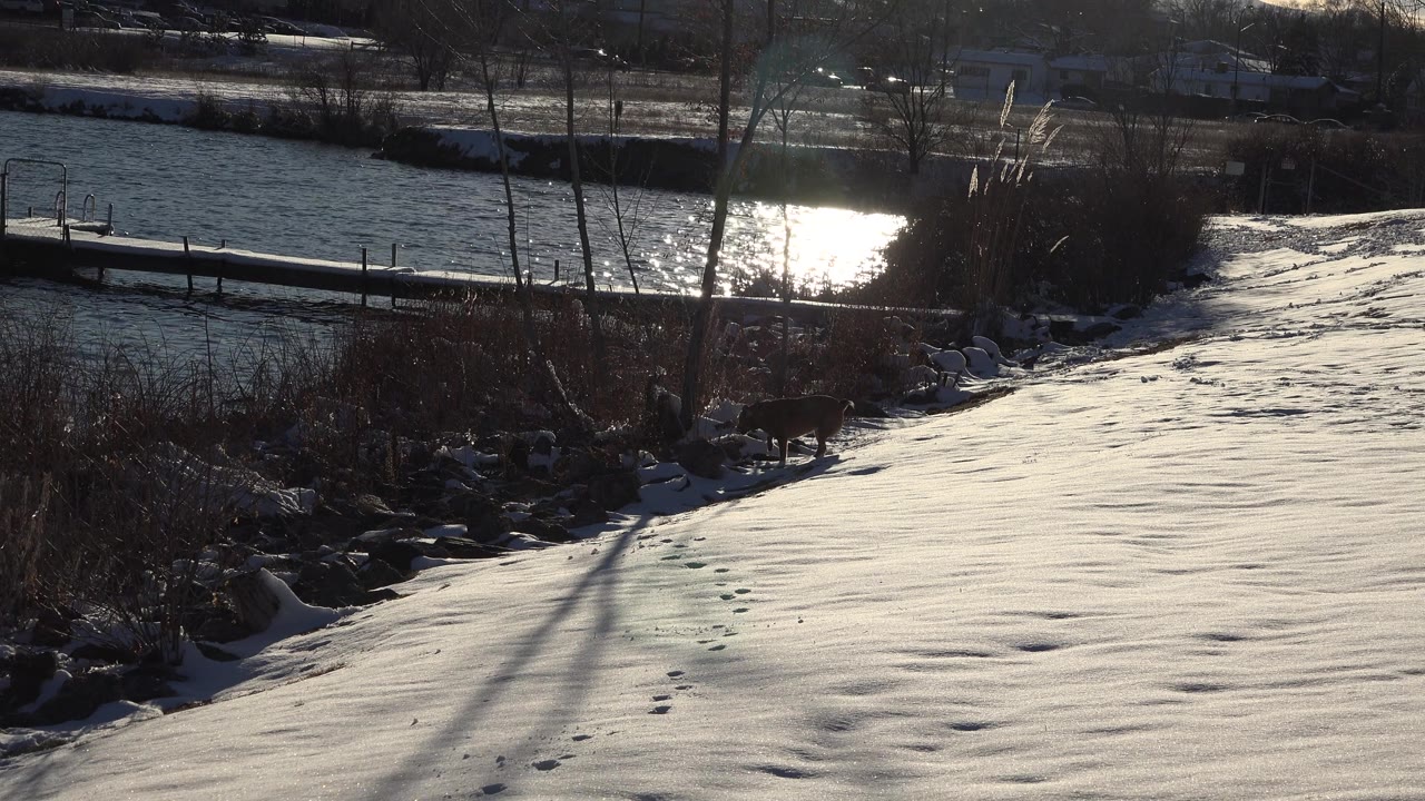 Snowy slope with footprints beside a lake and a low bridge or dock
