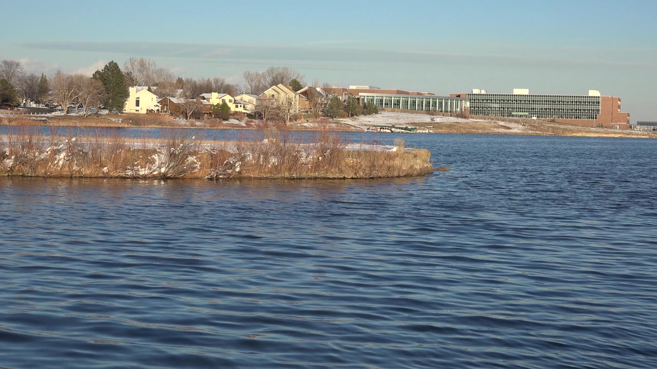 Wide lake view with shoreline brush and buildings across the water.