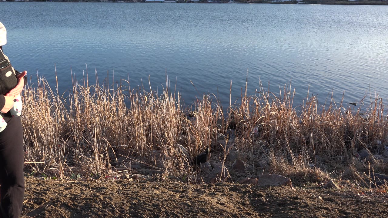 Partial view of a woman carrying an infant beside a lake.