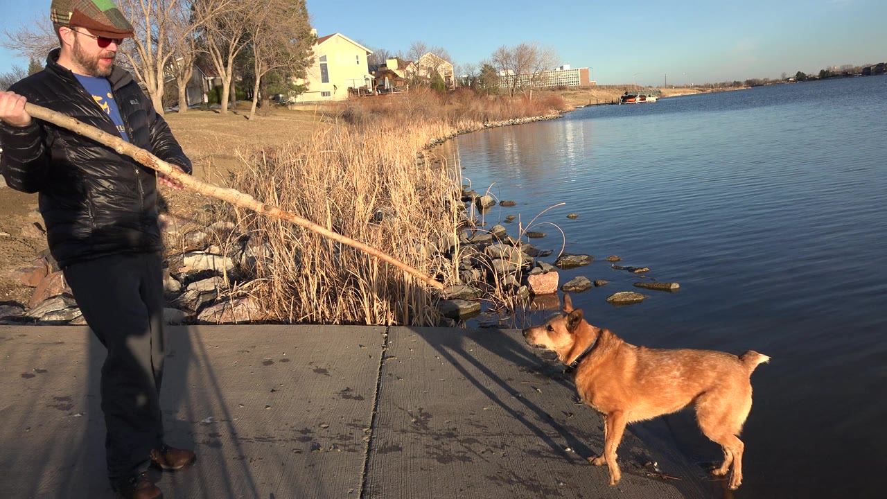 In Westminster, Colorado, a man in a black jacket stands at the edge of a lake holding a long stick while a brown dog watches from the concrete shoreline.