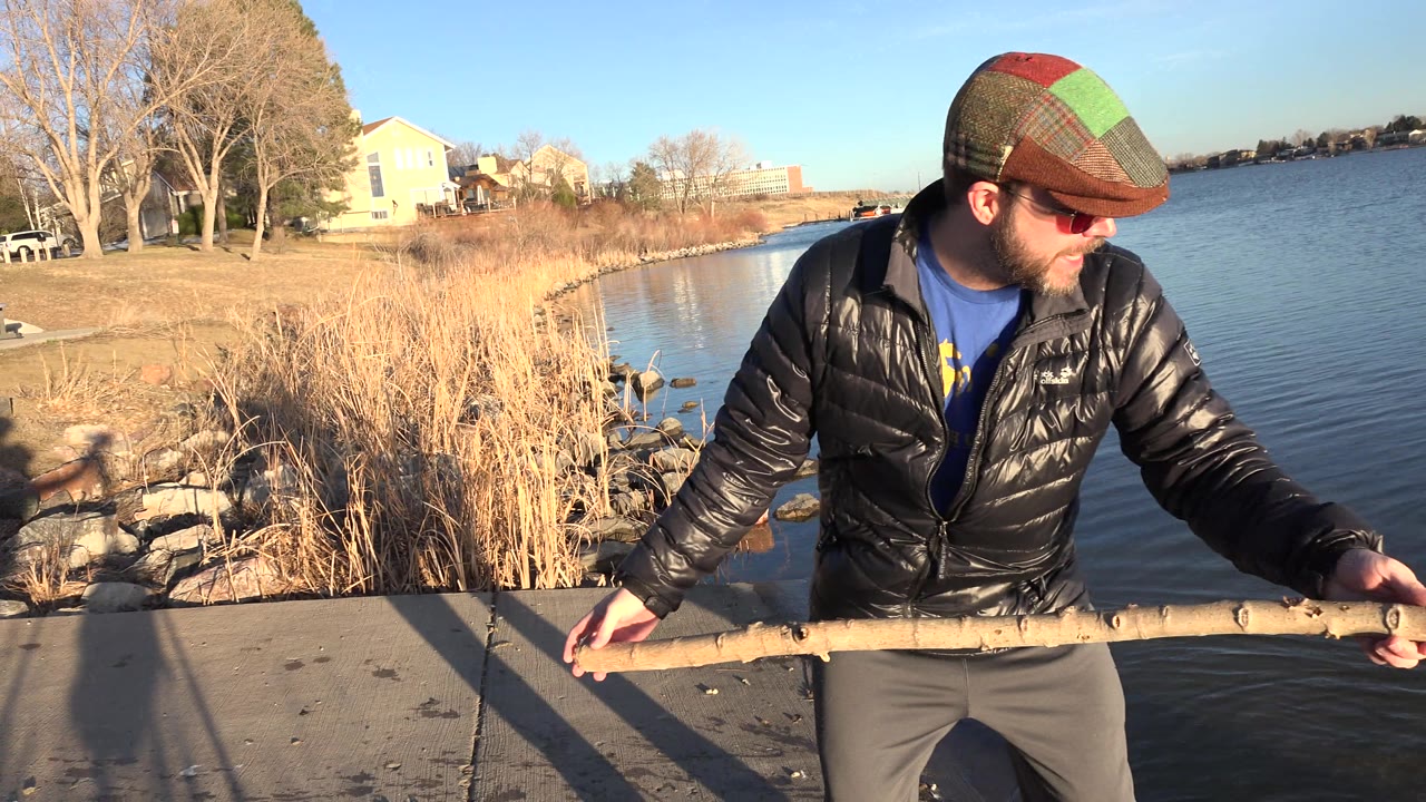 An adult in a cap and dark jacket holds a long stick at the edge of sunlit water in Westminster, Colorado, with reeds, rocks, homes, and no dog in the water yet.