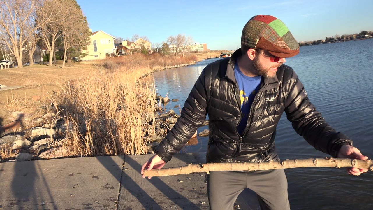 The adult extends the long stick outward over the Westminster water, with low sun on reeds and shoreline rocks behind them and distant houses across the lake.