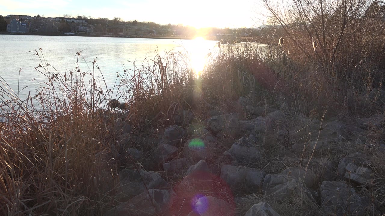 Low sun over a lake with reeds, shoreline rocks, and distant houses.