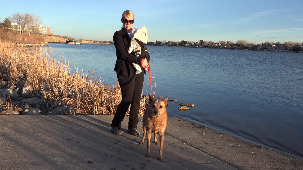 Woman holding a baby carrier beside a dog on a shoreline