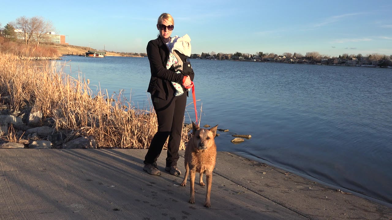 The woman remains near the shoreline in Westminster, Colorado, with the baby carrier against her chest and the leashed brown dog standing slightly forward by the water.