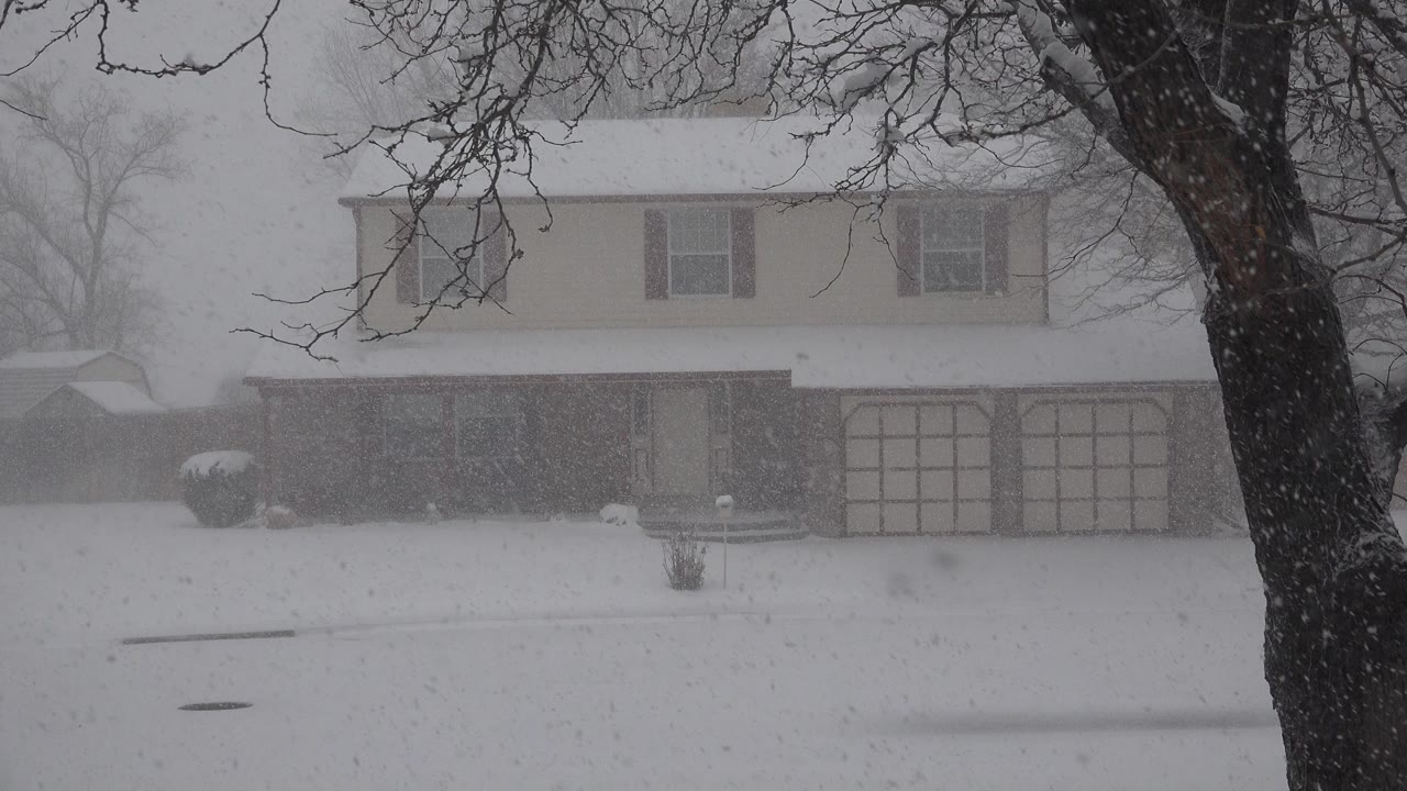 A Westminster, Colorado suburban house is partly veiled by falling snow, with a dark bare tree trunk at the right edge and no visible people.