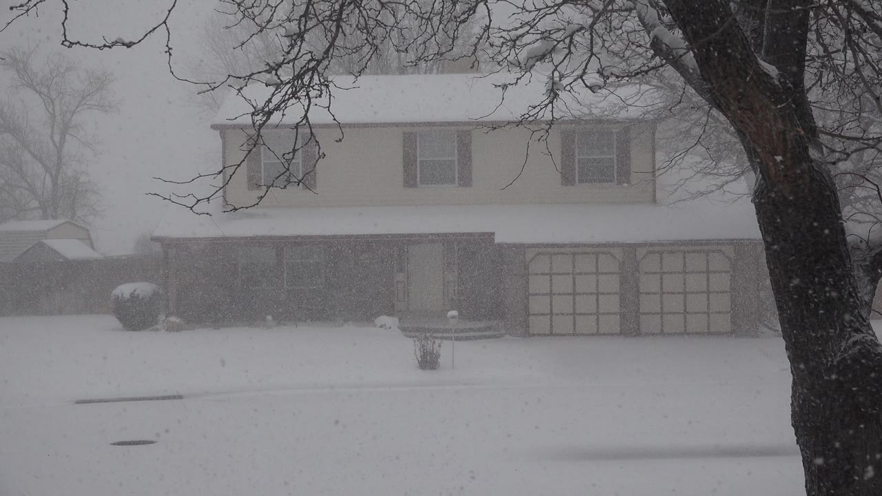 Heavy snow falls across a suburban house with a dark tree trunk at the right edge.