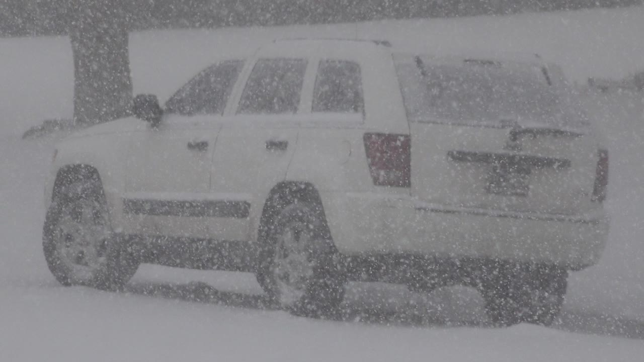 White SUV in heavy blowing snow near a tree.