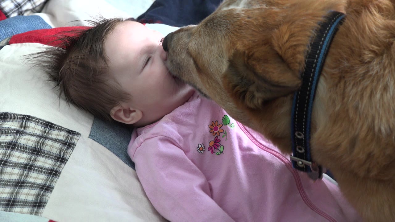 The dog keeps its muzzle close to the baby's cheek while the baby lies on its back in a pink floral outfit on layered bedding.