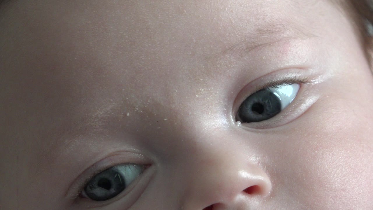 Close-up of an infant's blue eyes and nose.