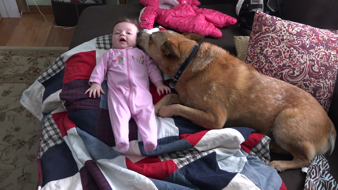 Baby looking upward as a brown dog sits beside them on the couch.