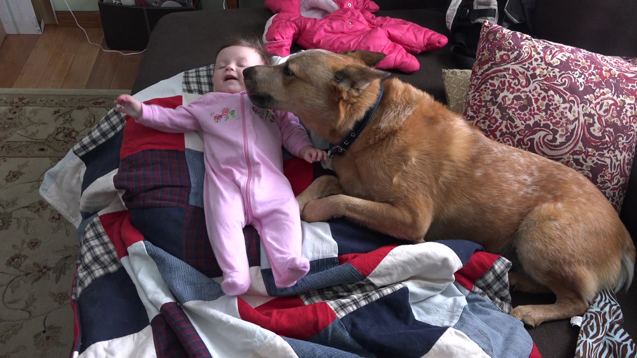 Baby in pink lying beside a tan dog on a patterned blanket.
