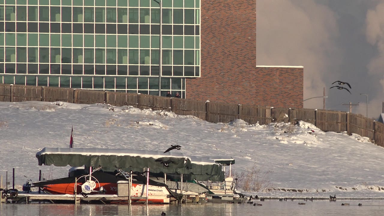 A duck flies low across the Westminster, Colorado lake while other ducks stay near the waterline, with the covered boat and snowy bank behind and no visible people.