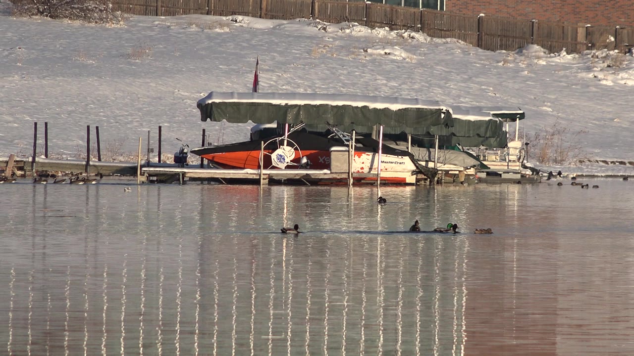 Birds swimming on a lake near a covered docked boat and snowy bank.