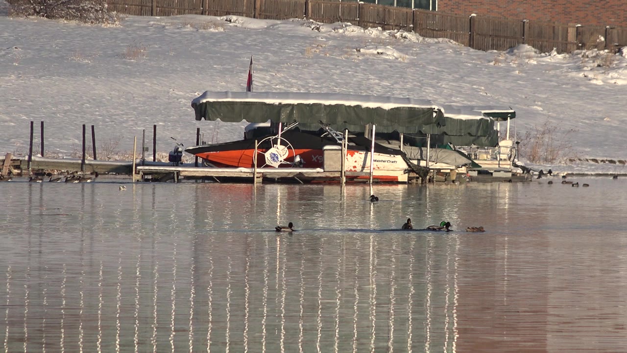 A loose group of birds crosses the foreground water in Westminster, Colorado, while covered boats and a snow-covered fenced shore sit behind them with no visible people.
