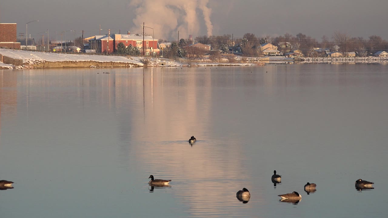At 0:01, Westminster, Colorado birds sit lower across reflective water while homes, industrial buildings, snow, haze, and a pale plume remain in the background, with no visible people.