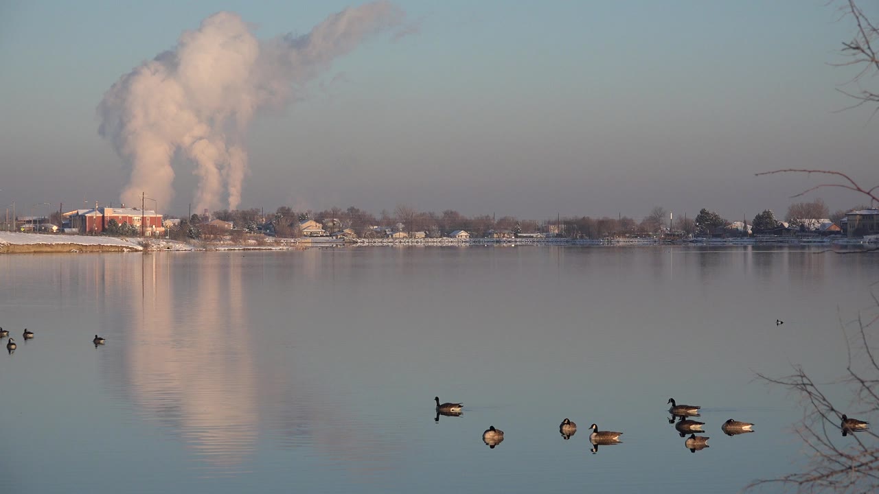 Geese on calm water with industrial smoke across the lake