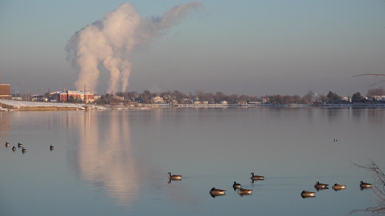 Birds floating on a calm lake with a distant plume over the shoreline.