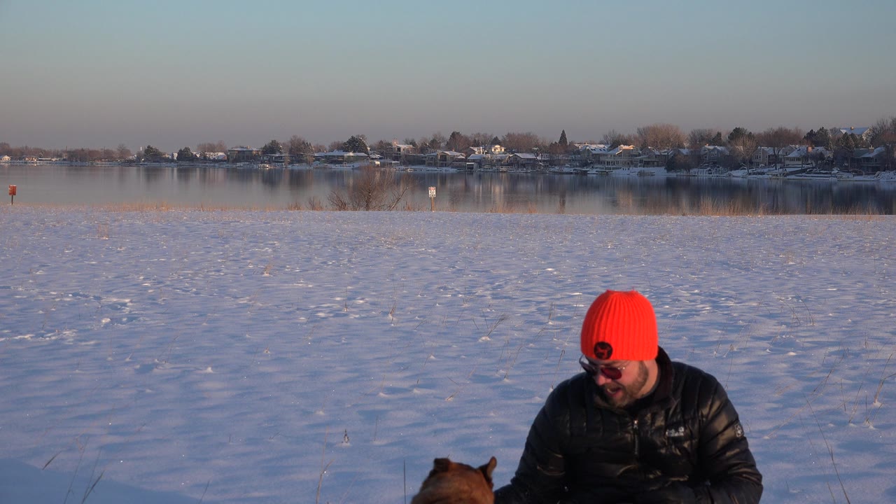 In Westminster, Colorado, the man leans down in the snow toward the brown dog, with blue lake water and a residential shoreline behind them.