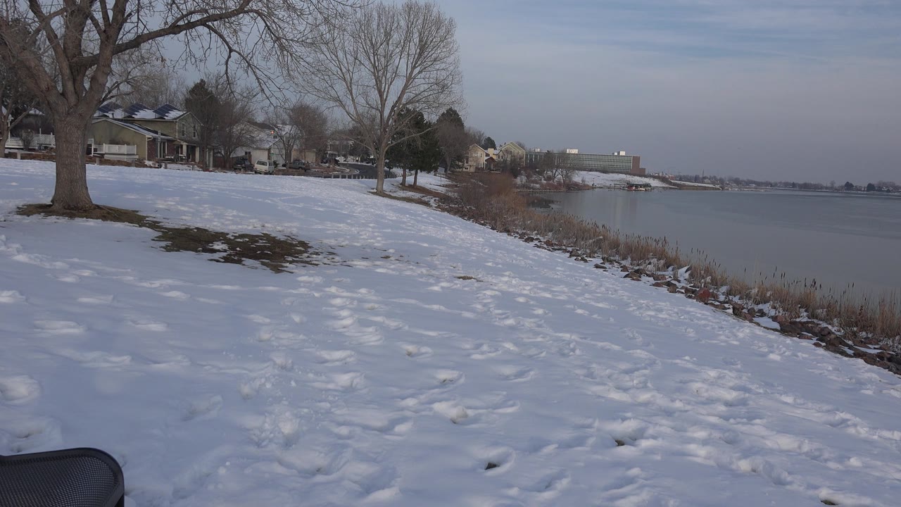 Wide snowy shoreline with reeds and calm lake water