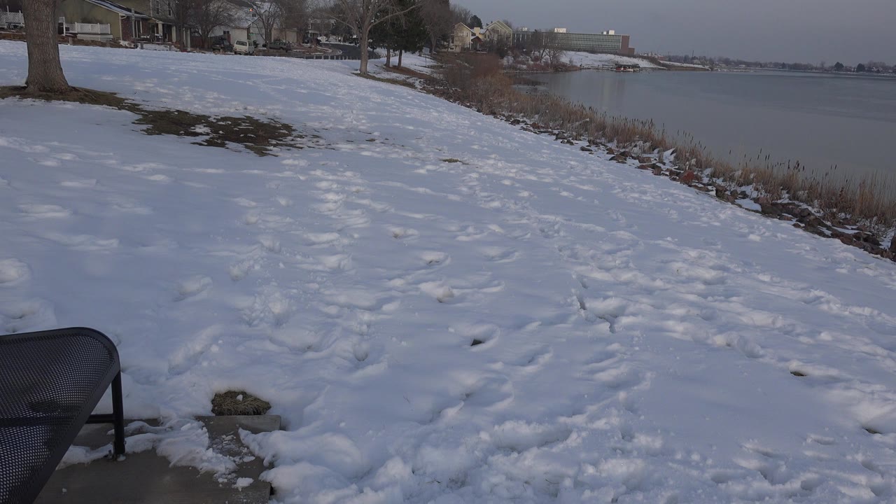 A low view of snow-covered ground beside a frozen lake in Westminster, Colorado, with a bench edge in the foreground, bare trees, distant homes, and no visible people.