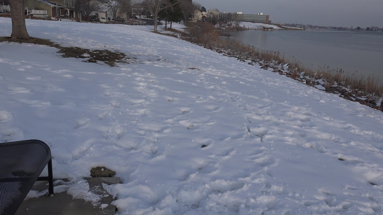 Snowy tracked ground fills the foreground beside a frozen lake in Westminster, Colorado, with a dark bench edge, shoreline reeds, bare trees, distant residential buildings, and no visible people.