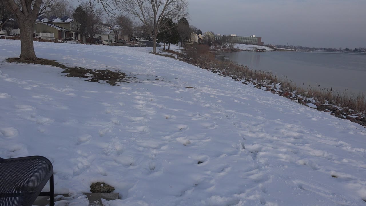 At 0:00, a snow-covered residential lakeside in Westminster, Colorado shows houses and bare trees on the left, reeds and lake on the right, and no visible people.