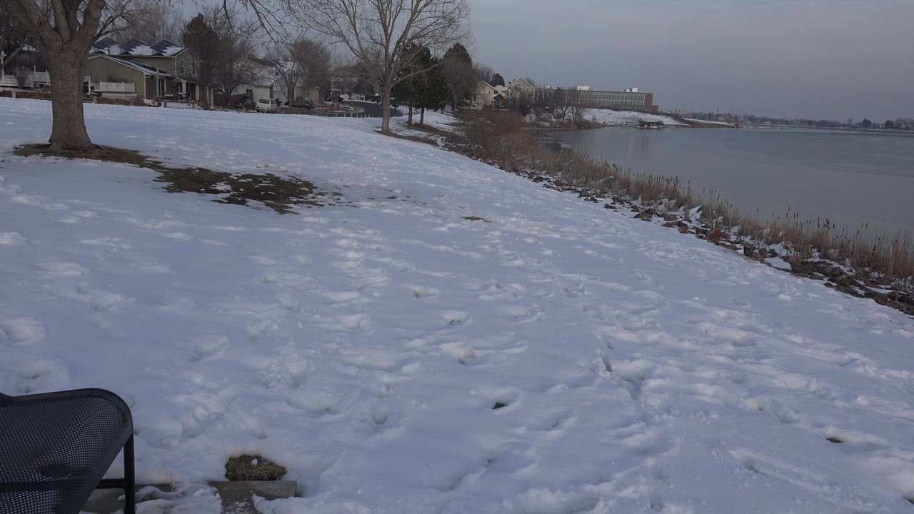 Wide snowy yard beside a lake with houses and bare trees in winter light.