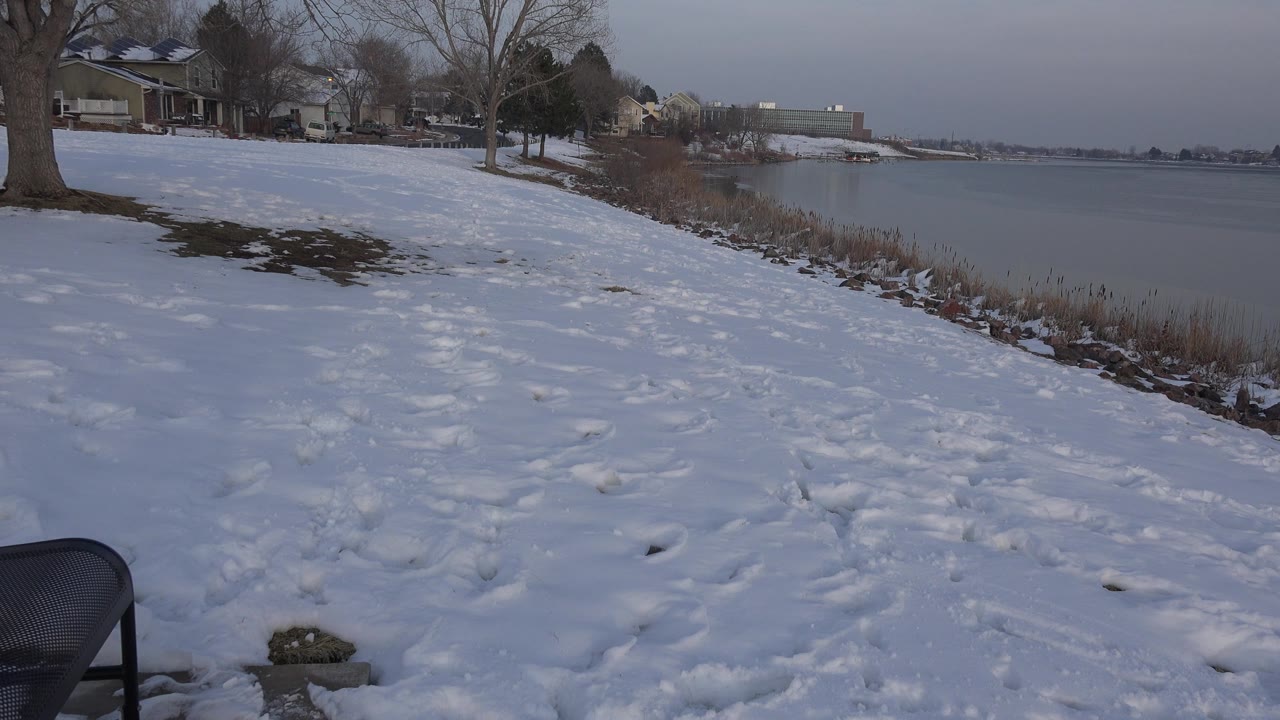 A similar Westminster winter view holds on the snow-covered yard, with foot tracks leading toward the lake, homes and trees on the left, and no visible people.