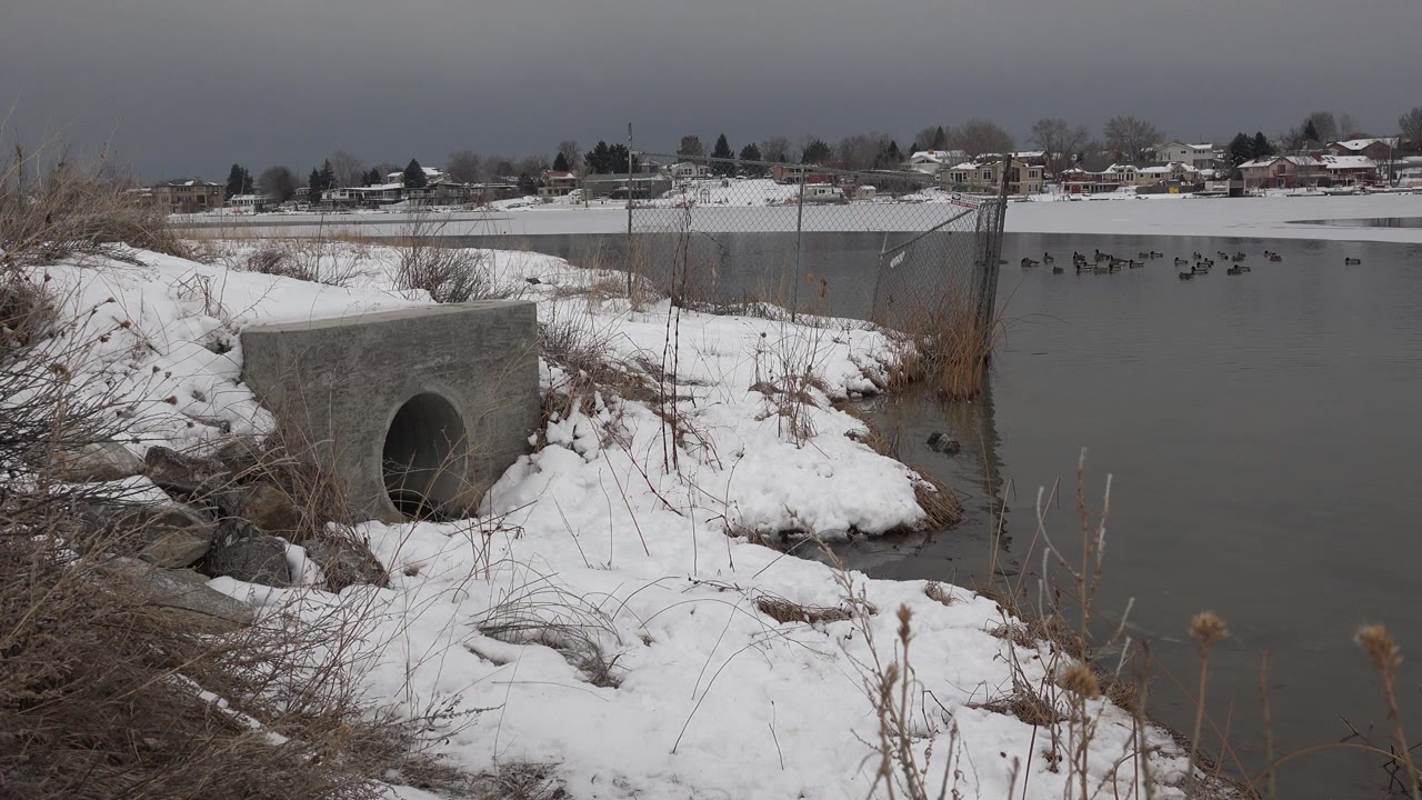 One second in, the Westminster pond view keeps the concrete culvert low left, snow and reeds along the bank, waterfowl on the gray water, and no visible people.