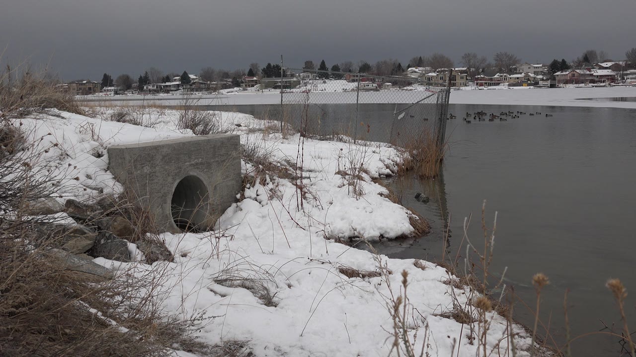 Snowy riverbank with concrete culvert and birds on gray water