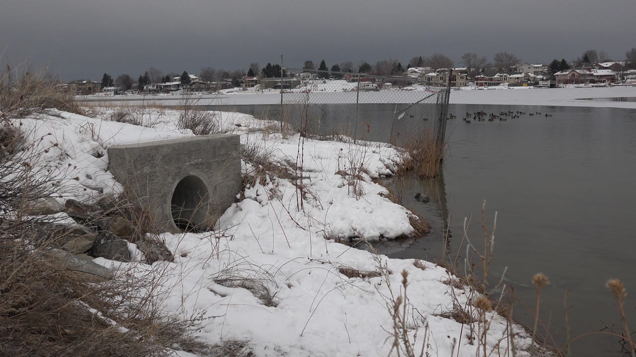 At one second, the Westminster winter river scene keeps the culvert in the left foreground while small dark birds remain visible on the mid-distance water and no people appear.