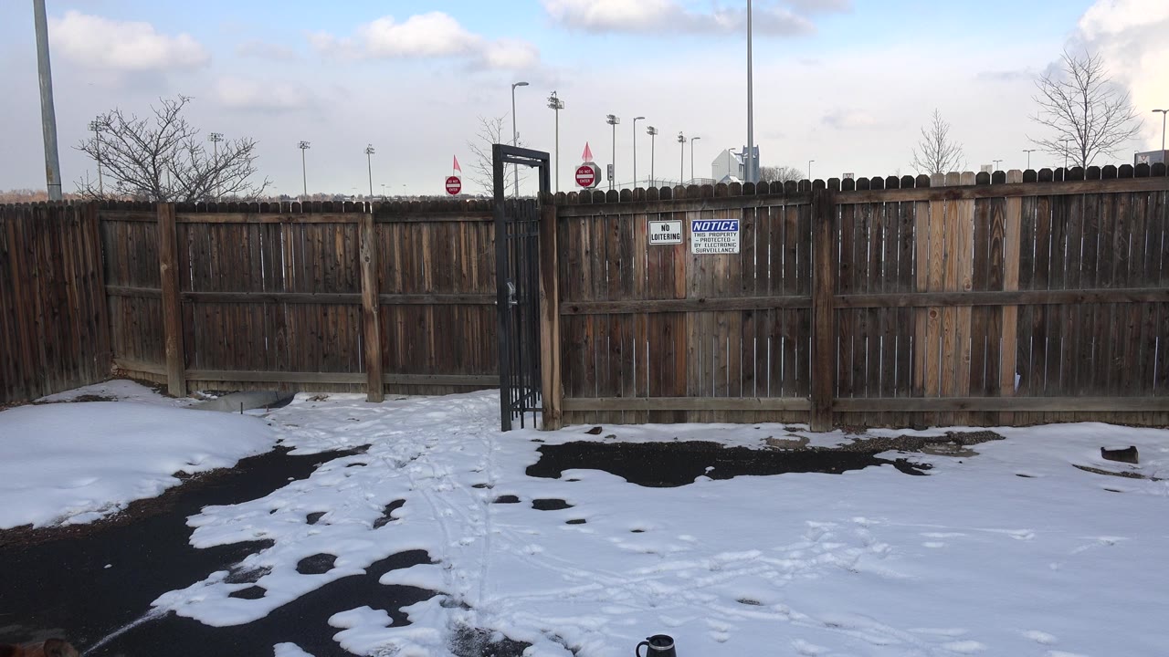 Snowy ground before a wooden fence and black metal gate.