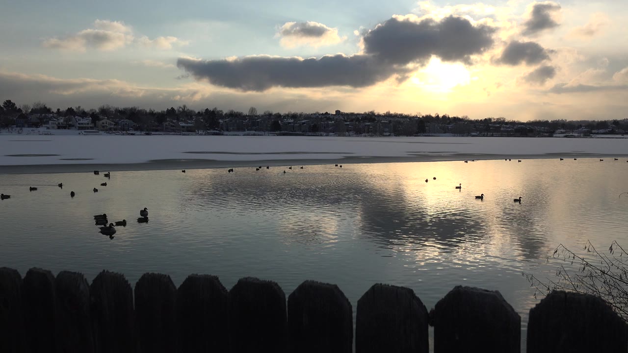 Birds float on a Westminster, Colorado pond as sunset light reflects through clouds, with dark fence posts in the foreground and no visible people.