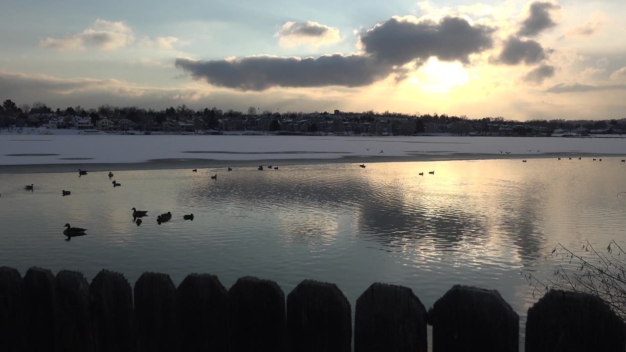 Birds float on reflective water in Westminster, Colorado, with dark fence posts in the foreground, snow on the far bank, a low sun behind clouds, and no visible people.
