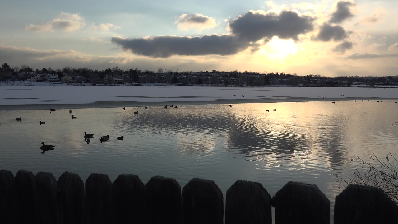 Ducks and small birds drift across the Westminster lake, with a bright reflection below the clouded sunset and no visible people in the snowy background.