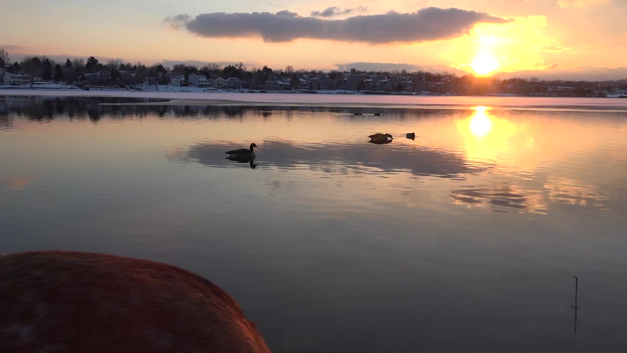 Several ducks move across still water in Westminster, Colorado, below a bright orange sun and dark cloud band, with no visible people.