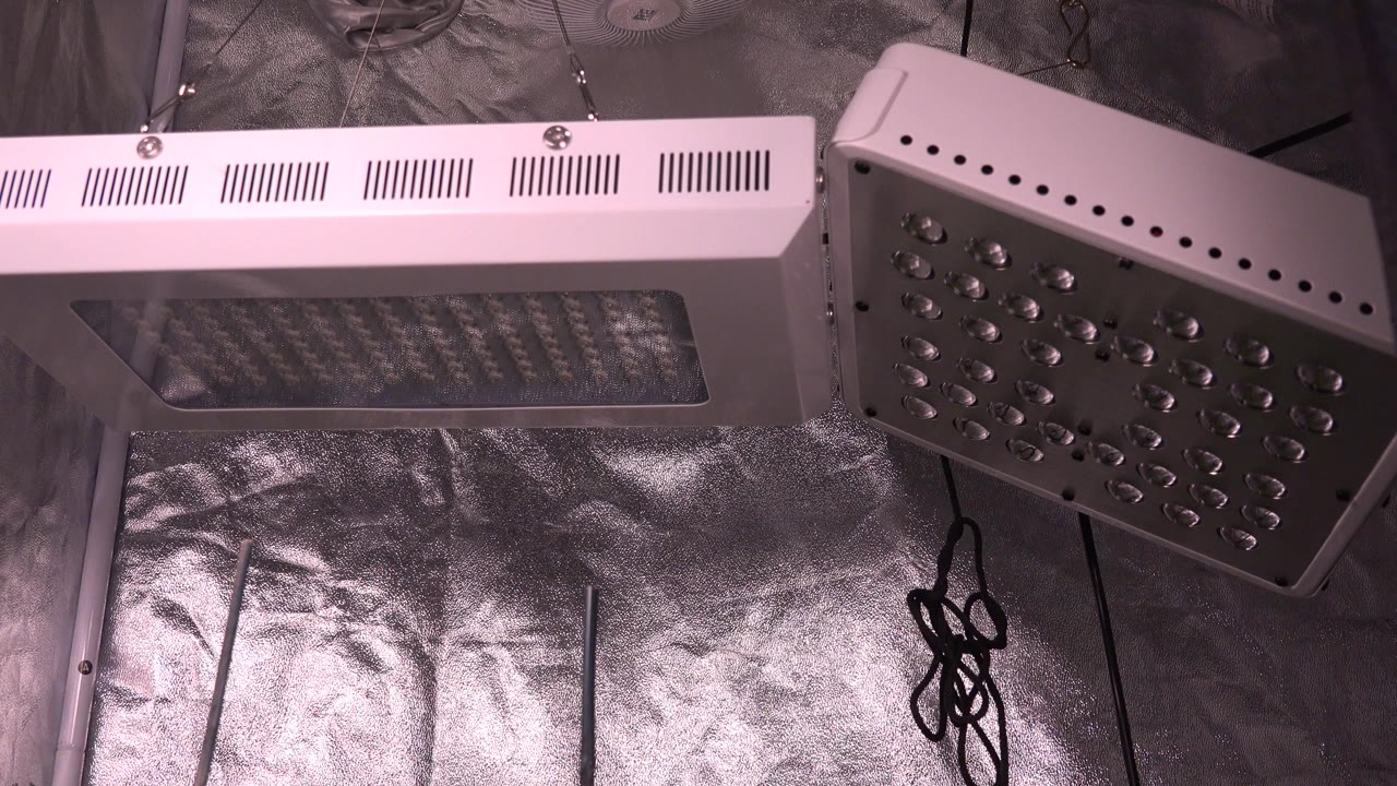 At 0:00 in Westminster, Colorado, two white LED grow lights hang over reflective silver tent lining with black cords below and no visible people.