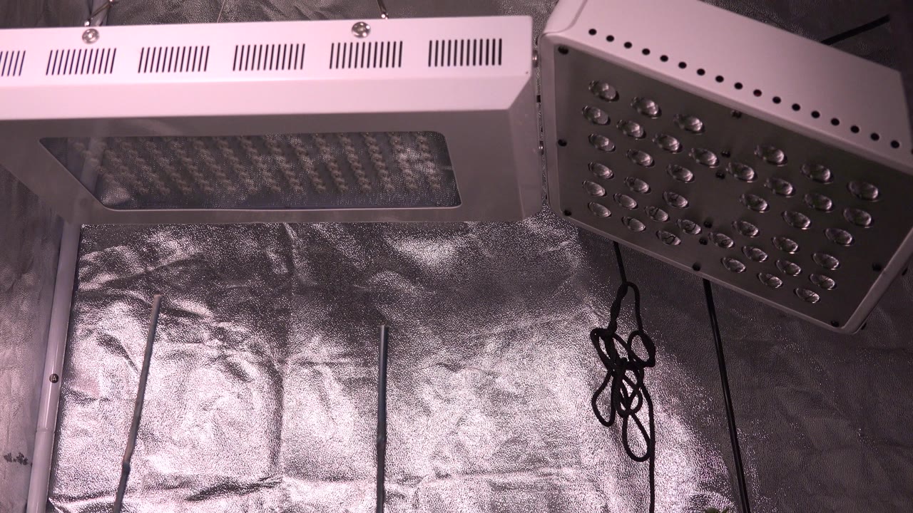 LED grow lights over reflective greenhouse wall lining